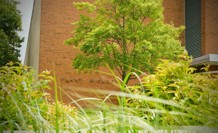 exterior photo of the plant biology building