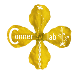 connor lab flower