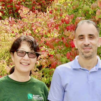 From left to right: Seung Yon “Sue” Rhee, Hatem Rouached, Robert VanBuren and Gregg Howe. 