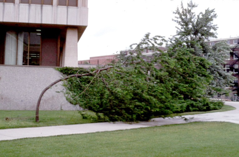 Research Department of Plant Biology