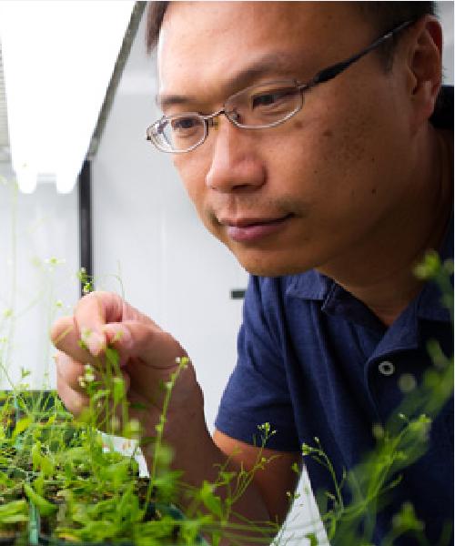 ShinHan Shiu Department of Plant Biology